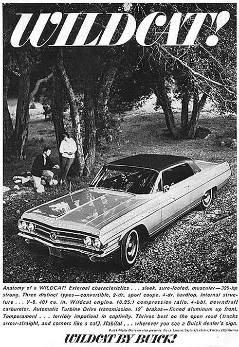 1963 Buick 13
